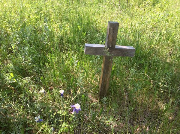 ¿Por qué murió Jesús en la cruz?