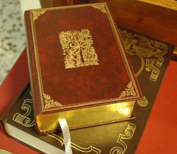 ¿Qué importancia tiene la palabra de Dios?
