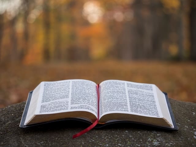 Cómo nos habla Dios?