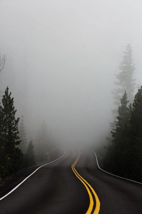 Via-rodeada-árboles-con-niebla