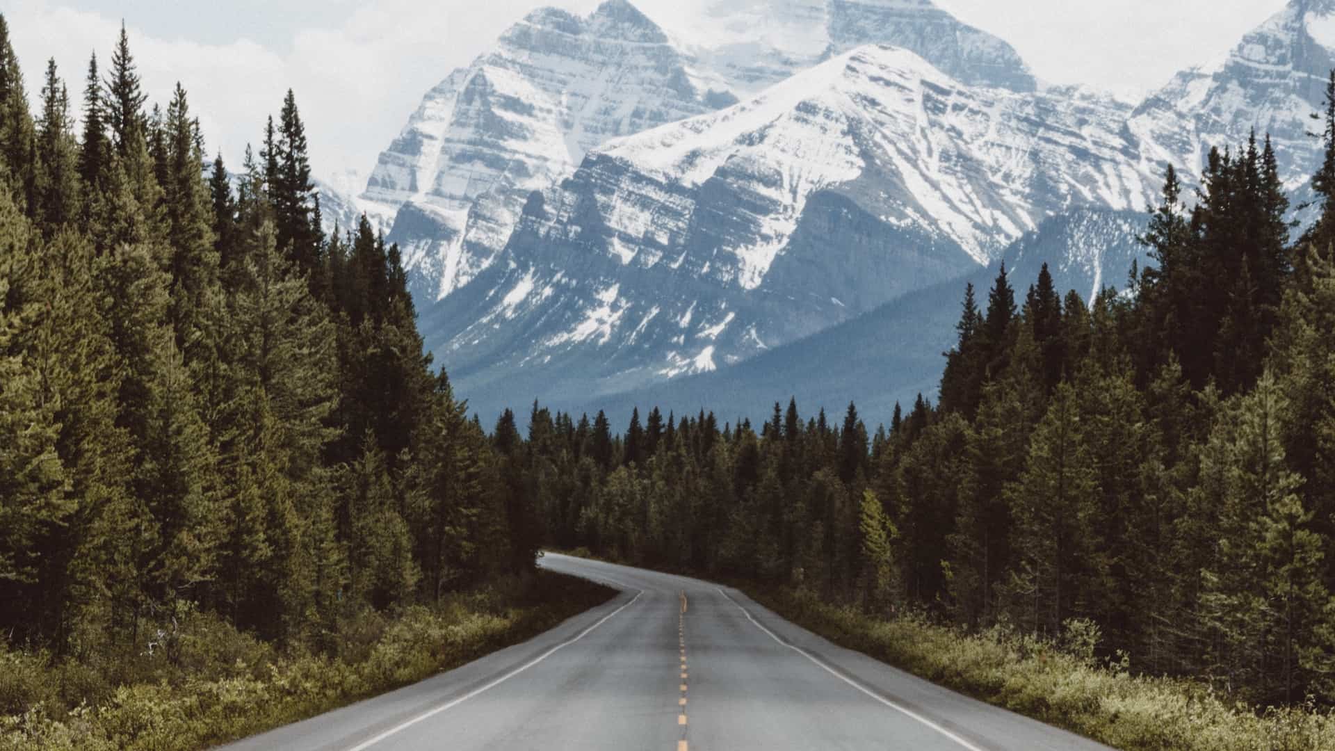 Carretera con árboles y montañas