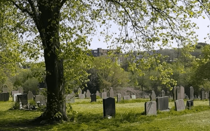 Tumba junto a árbol en cementerio