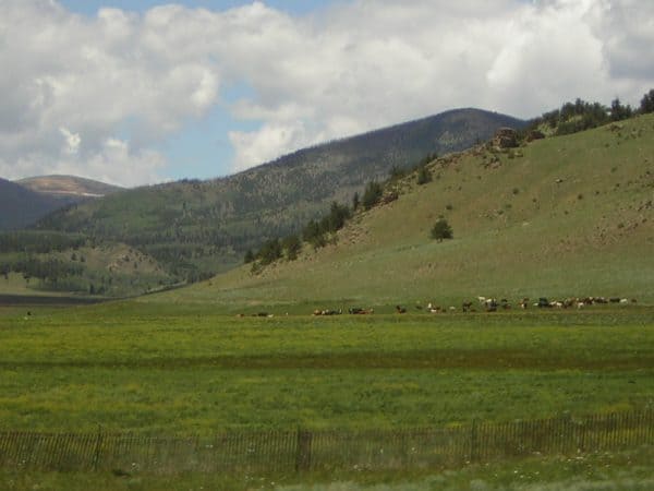 Prado verde con montaña y cielo al fondo