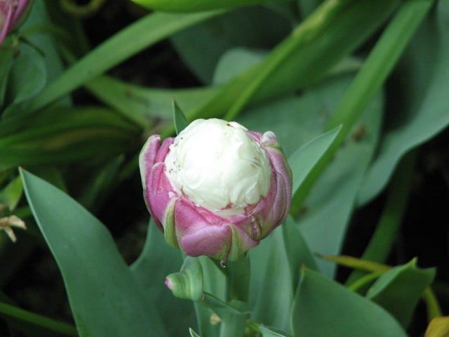 Qué dice la Biblia sobre el pecado